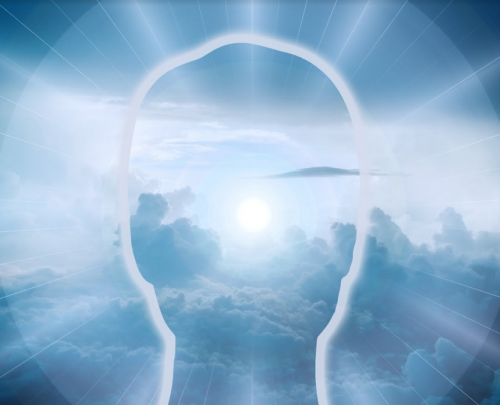 Who is thinking the soul or the brain